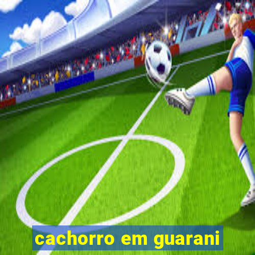 cachorro em guarani